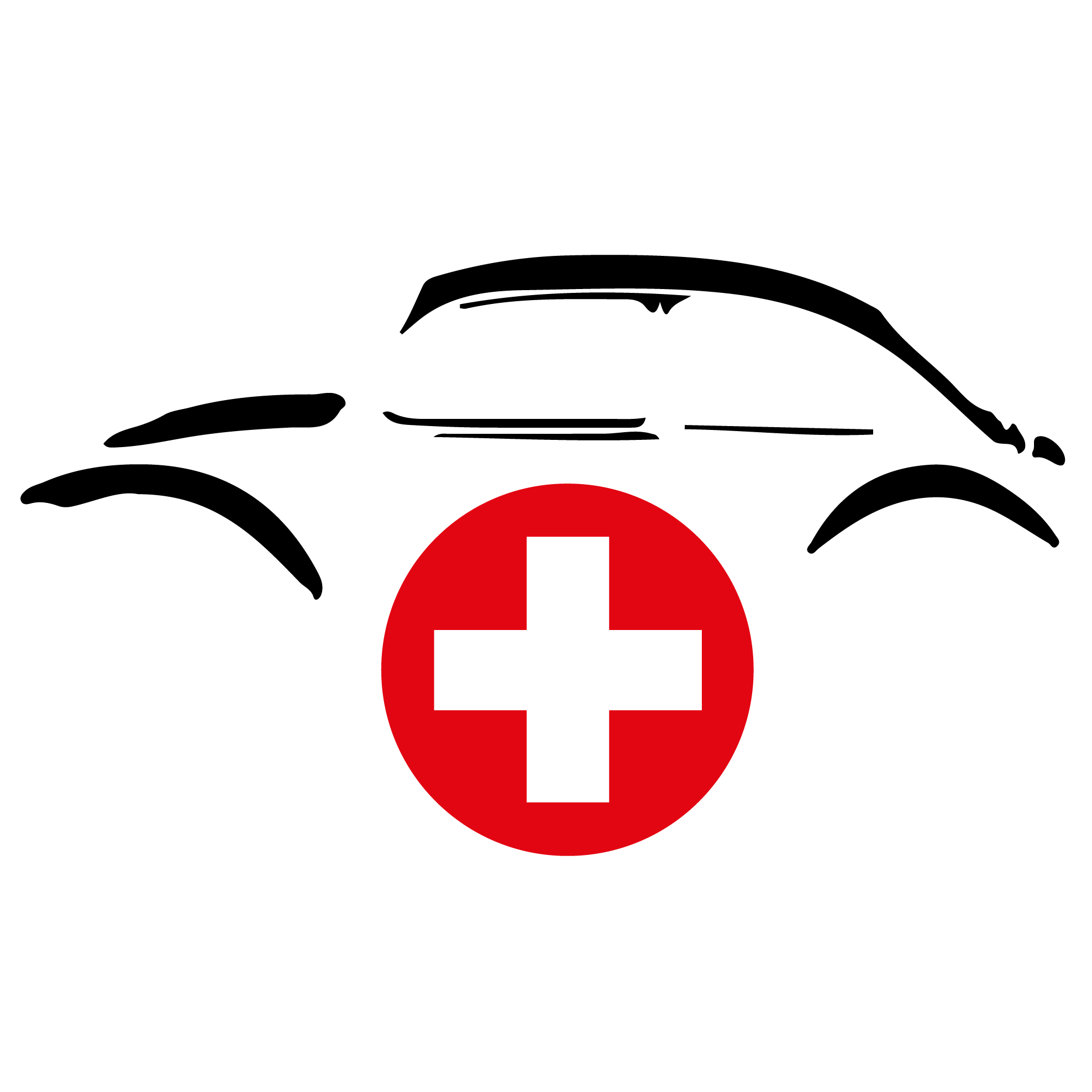 Logo Schweizer Autofreunde