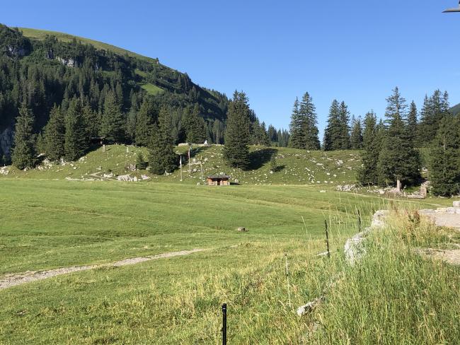 Älggialp